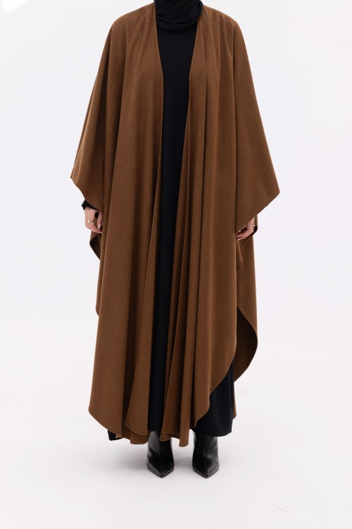 Cape Georgina winter camel