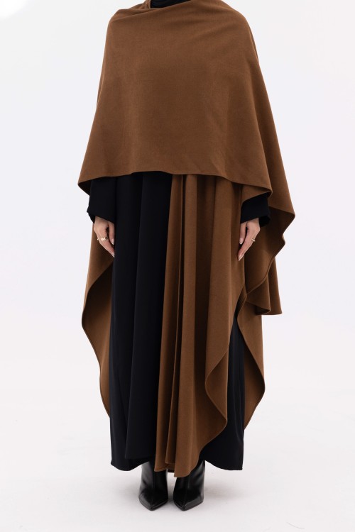 Cape Georgina winter camel