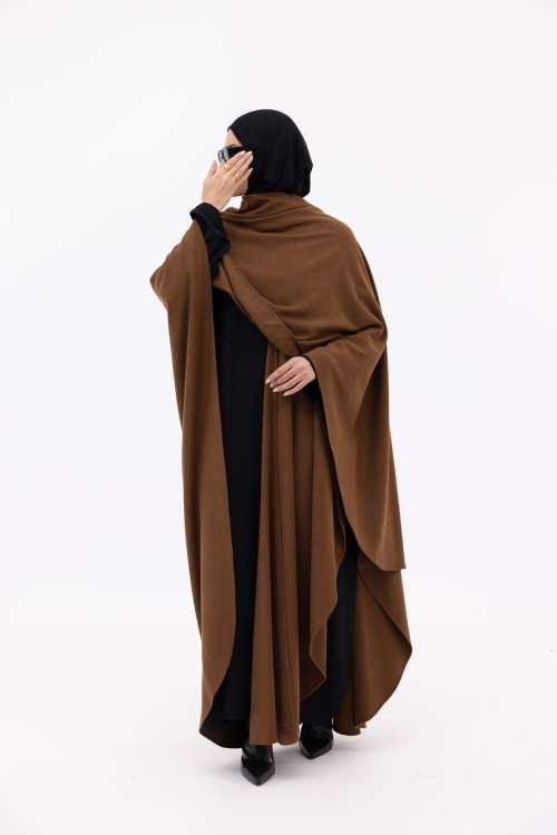 Cape Georgina winter camel